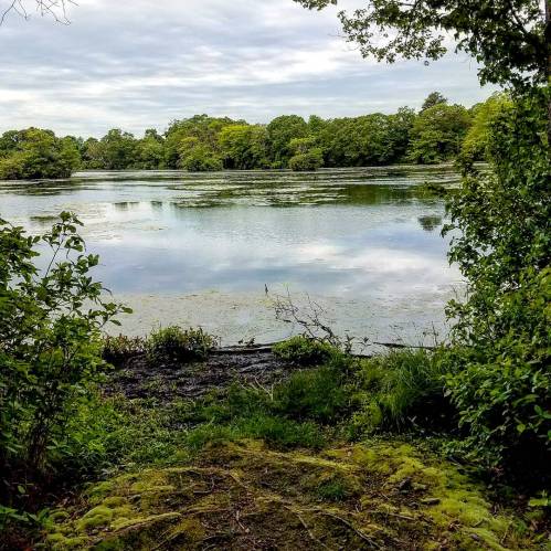 IMG_20170606_184007_963